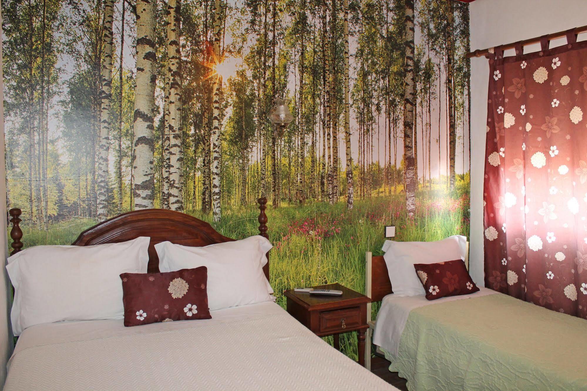 Franca Otel Porto Dış mekan fotoğraf